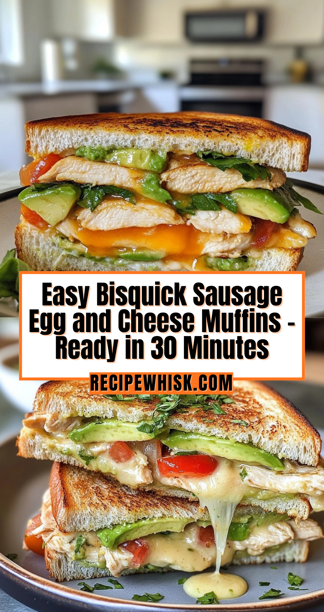 Chicken Avocado Melt Sandwich