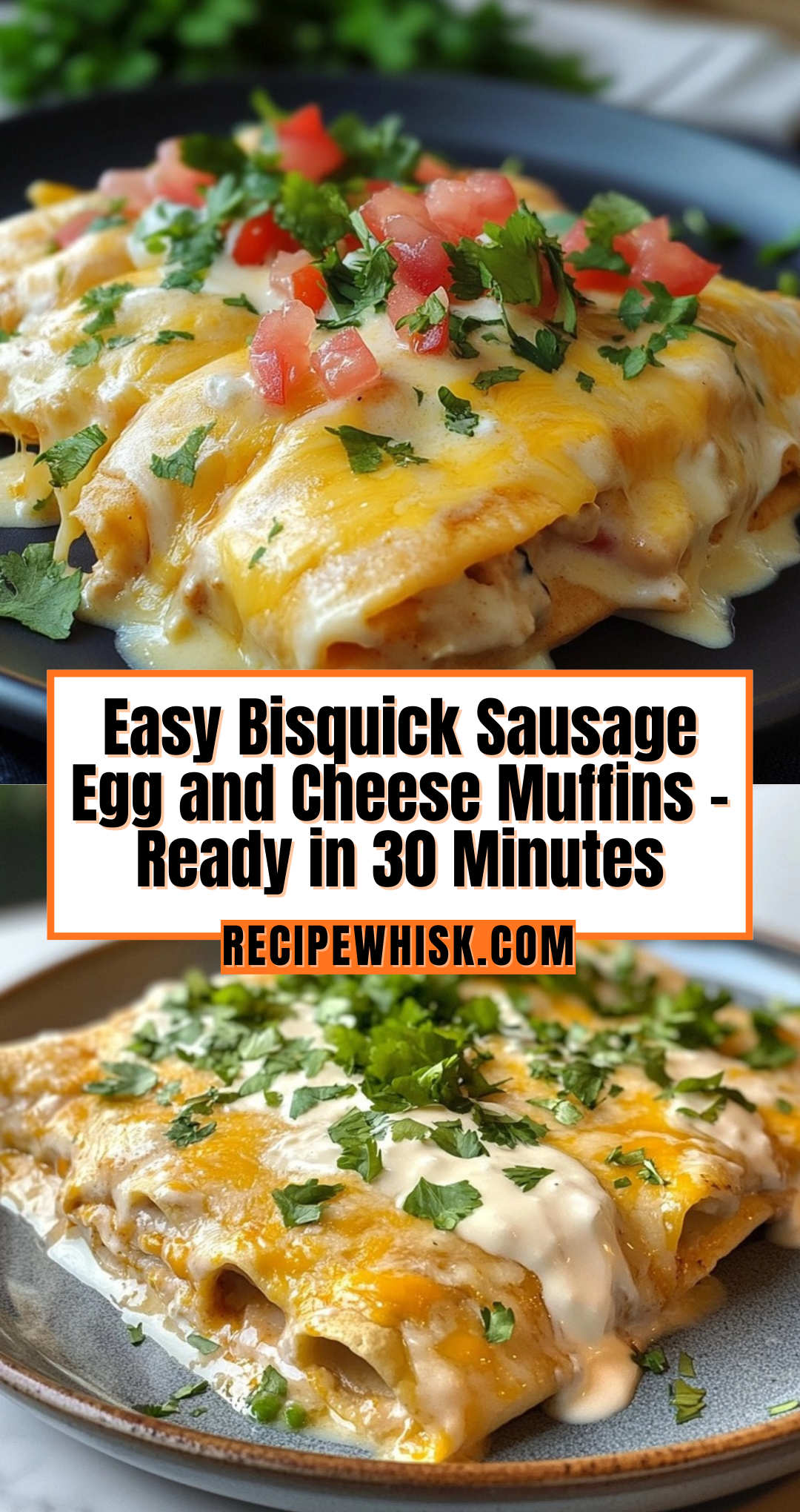 CHICKEN ENCHILADAS WITH SOUR CREAM WHITE SAUCE