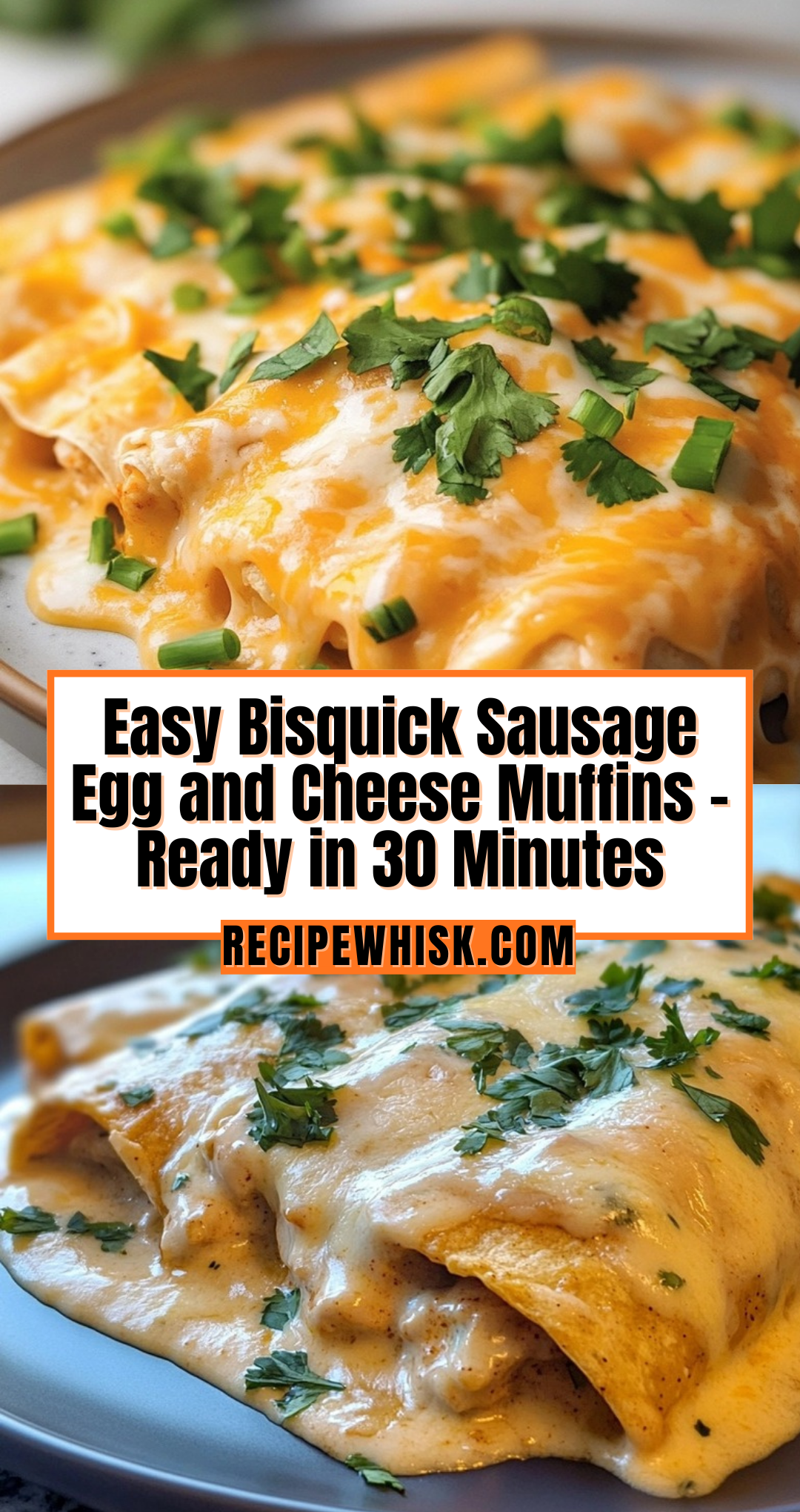 Creamy Queso Chicken Enchiladas for Effortless Family Dinners